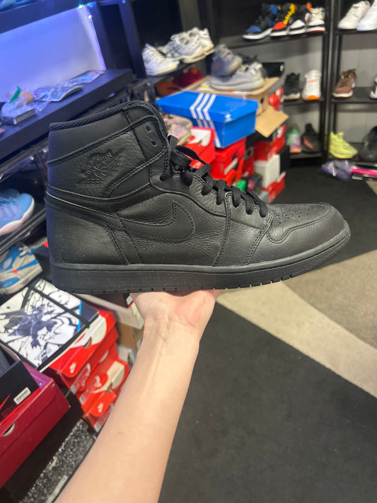 Jordan 1 Retro High OG Black (US 13) (used)