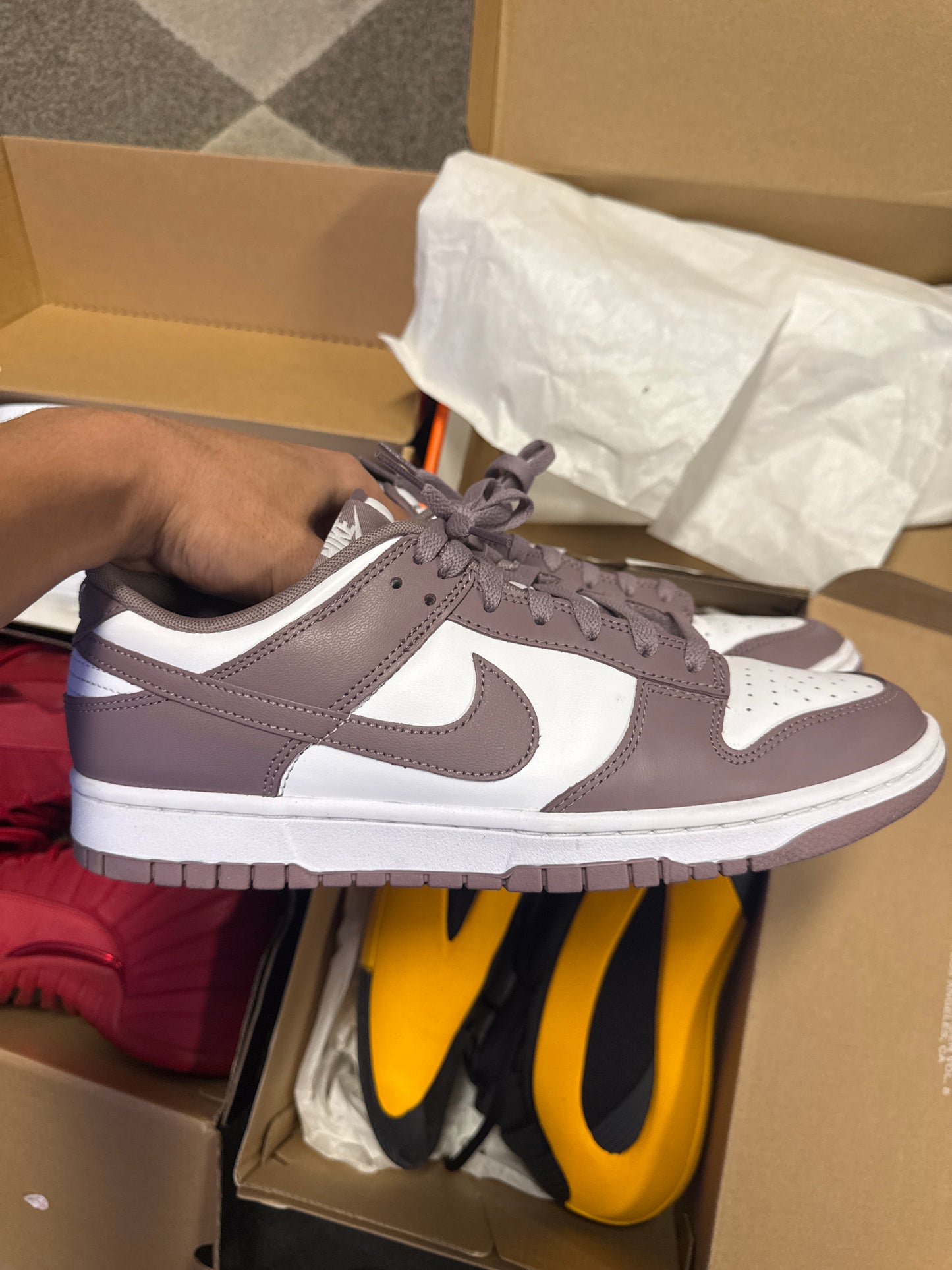 Nike Dunk Low Violet Ore (US 11) / USED NO BOX