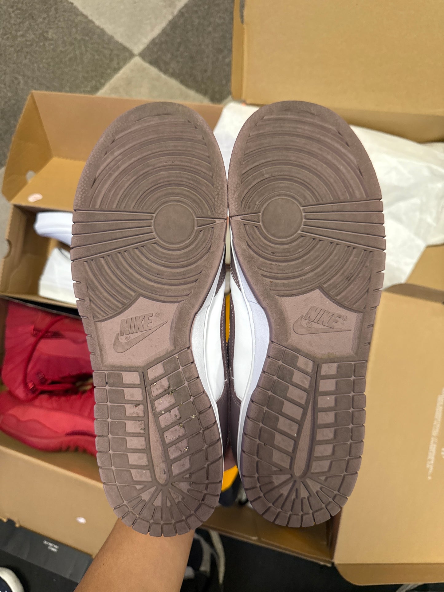 Nike Dunk Low Violet Ore (US 11) / USED NO BOX