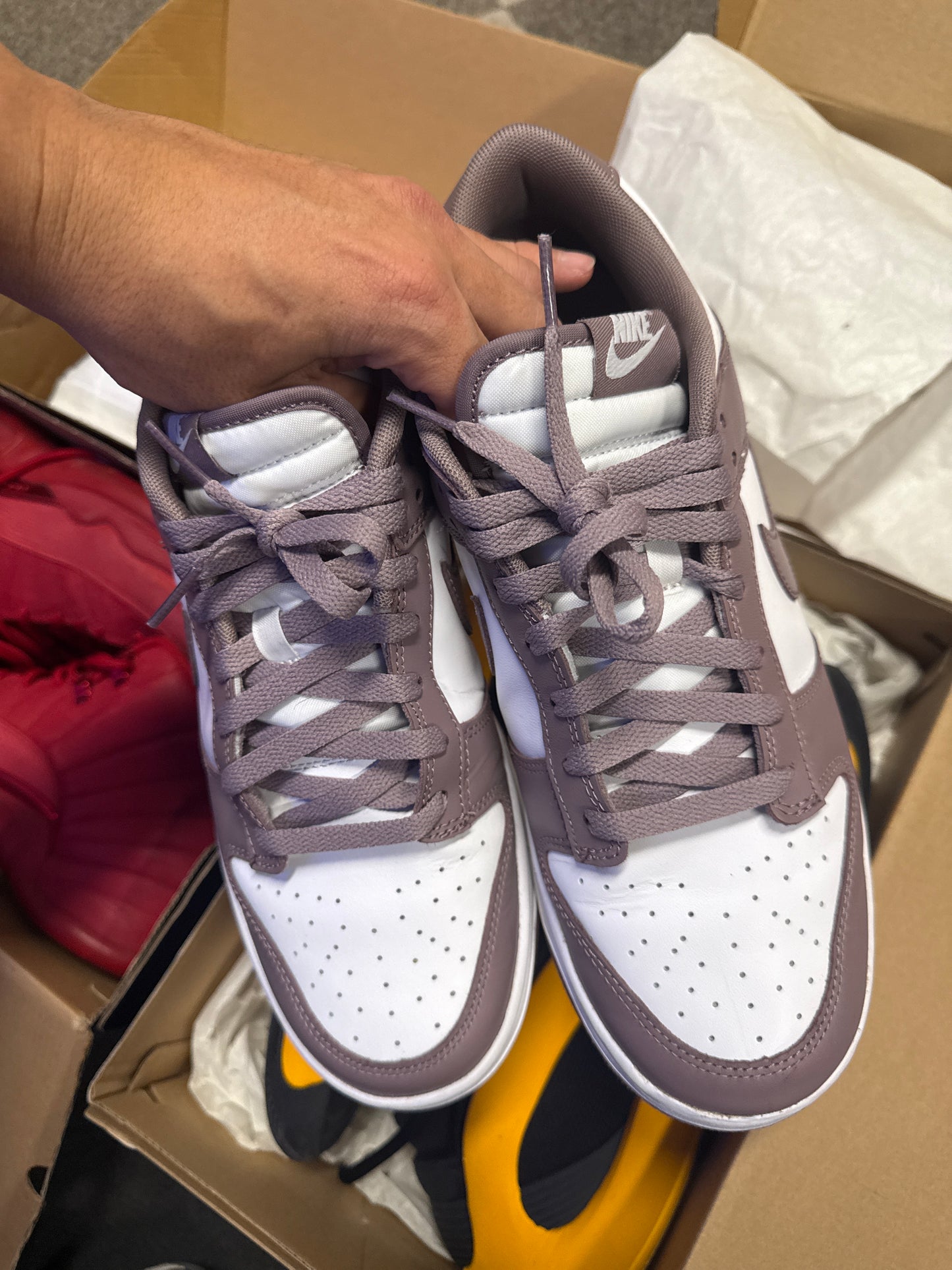 Nike Dunk Low Violet Ore (US 11) / USED NO BOX