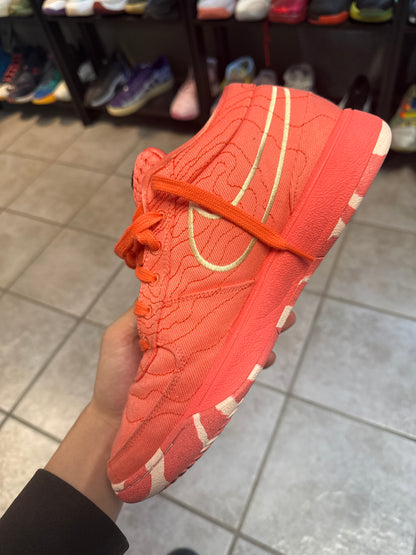 Nike Book 1 Sedona (US 10) (used)