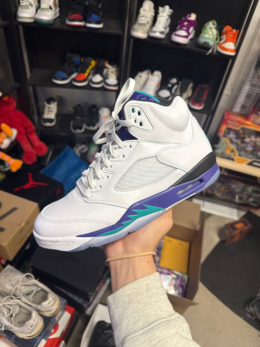 Jordan 5 Retro Grape (2025) (US 10.5) / USED