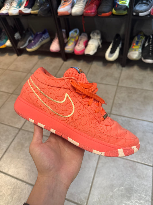 Nike Book 1 Sedona (US 10) (used)