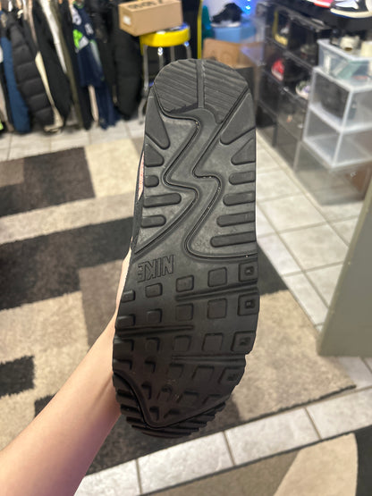 Nike Air Max 90 ACG Persian Violet (US 10) (used)