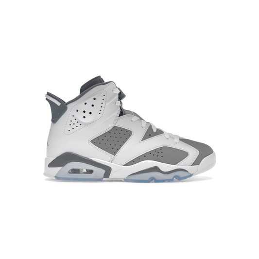 jordan_6_retro_cool_grey_0