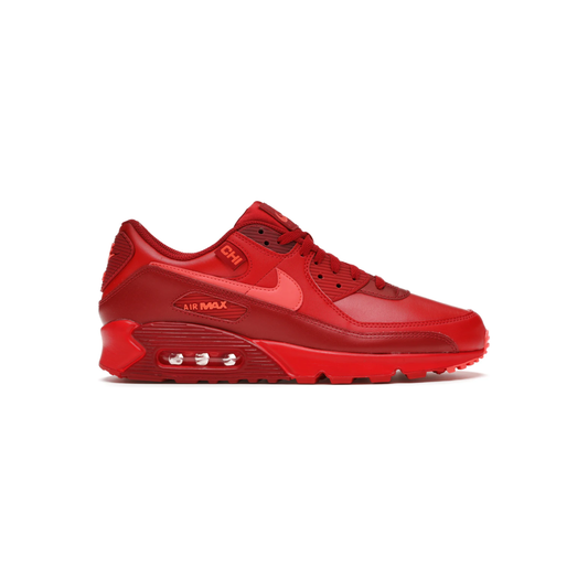 nike_air_max_90_city_special_chicago_0