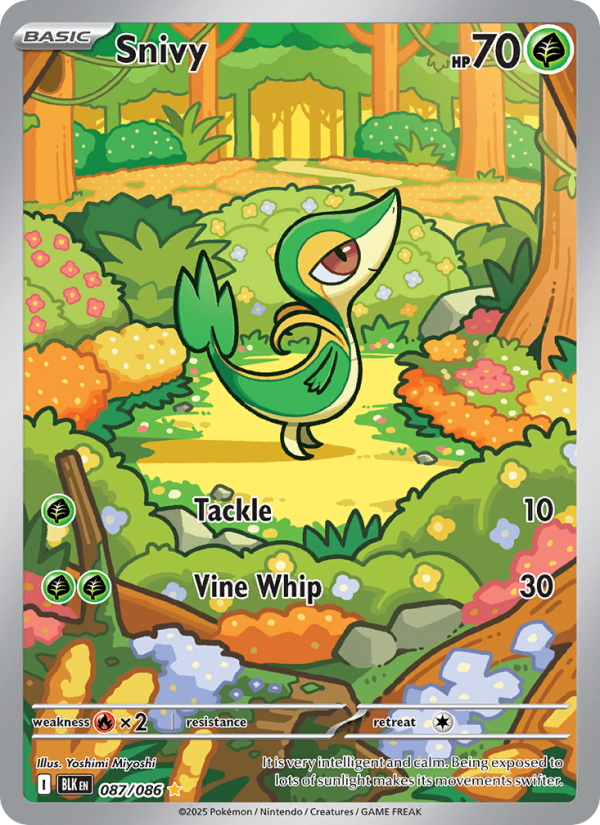 Image for card Snivy
