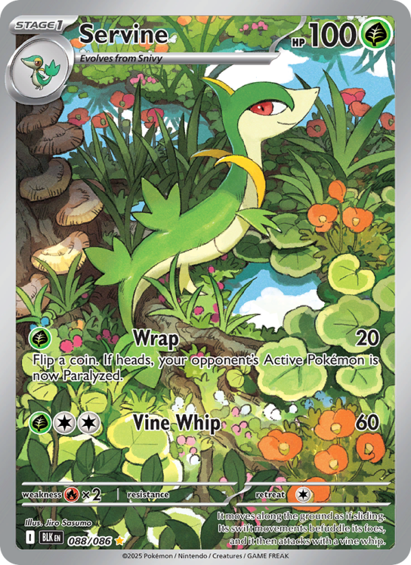 Image for card Servine
