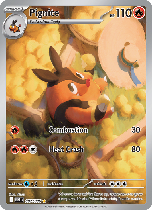 Image for card Pignite