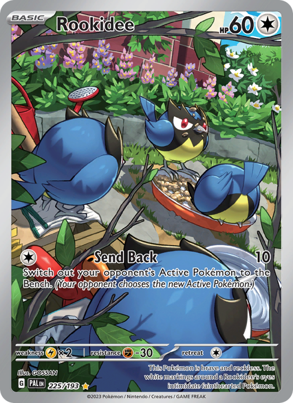 Image for card Rookidee