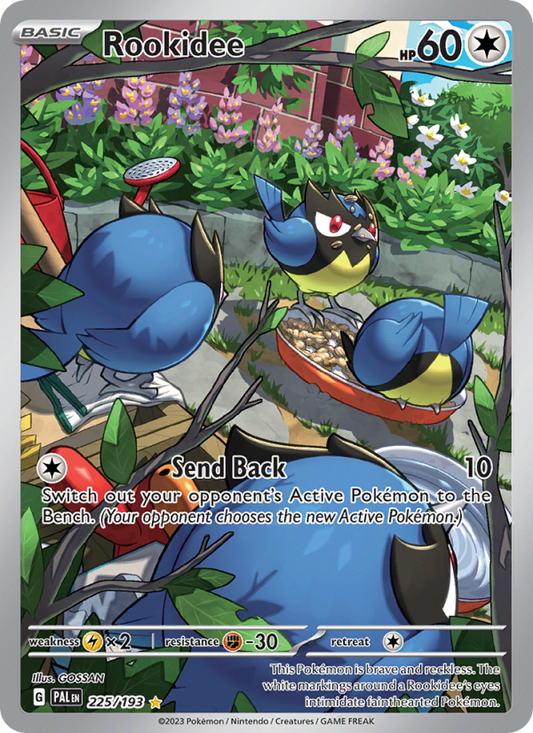 Image for card Rookidee