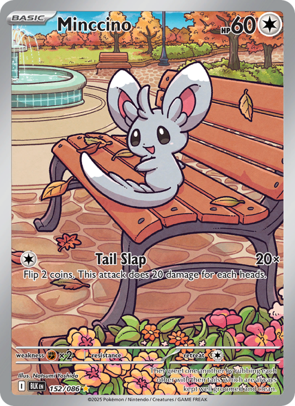 Image for card Minccino
