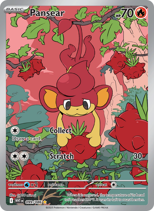 Image for card Pansear