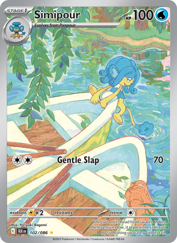Image for card Simipour